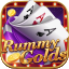 rummy hood icon